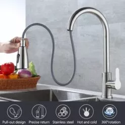 Kitchen Tap Pull Out Extendable Hose Matt