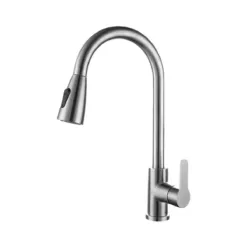 Kitchen Tap Pull Out Extendable Hose Matt