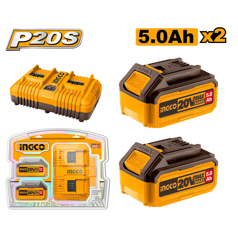 P20S Lithium-Ion battery and charger kit FBCPK2425